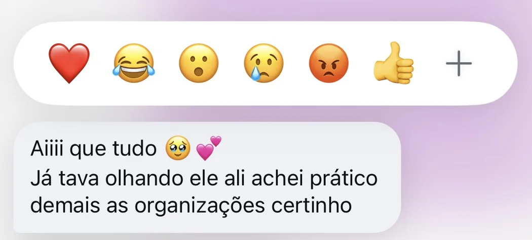 Mensagem elogiando a praticidade e a organização do app.