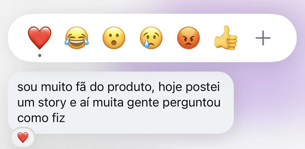 Mensagem contando que postou um story com o produto.