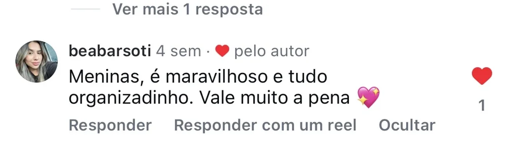 Comentário elogiando a organização do aplicativo.