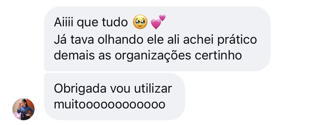 Conversa elogiando a praticidade e organização do app.